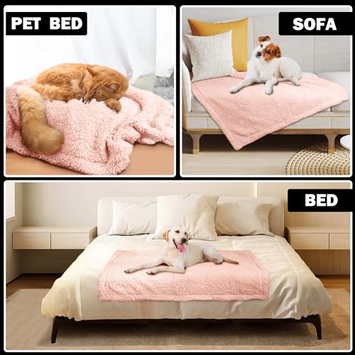 Soft Dog Blanket for Small Dogs Puppy Washable Sherpa Fleece 24x32 Inches W443