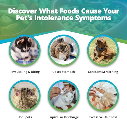 Pet Food Intolerance Test for Dogs & Cats, 272 Items, Hair Analysis, Results in 5 Days B446570