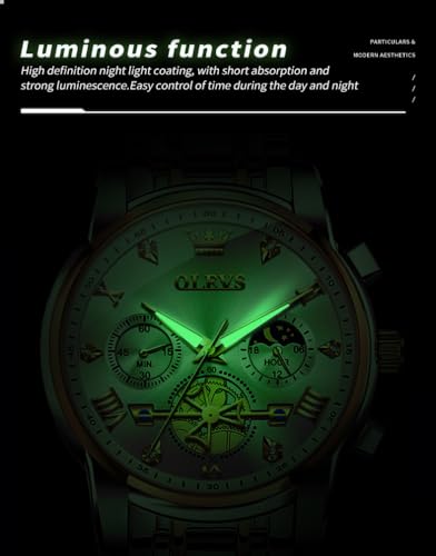 Men Skeleton Watch Stainless Steel Analog Quartz Moon Phase P9497