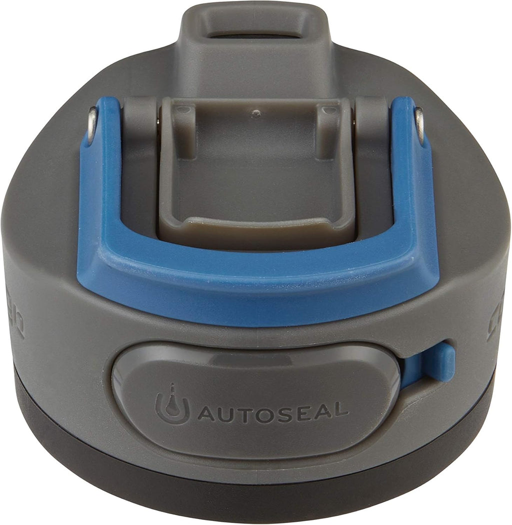 24oz Stainless Steel Water Bottle with Autoseal Lid V7433