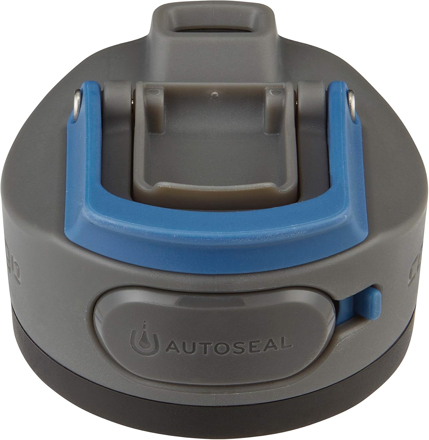 24oz Stainless Steel Water Bottle with Autoseal Lid V7433
