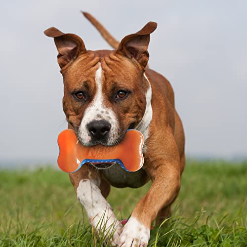 Squeak Bone Dog Toy - Blue/Orange Z549713