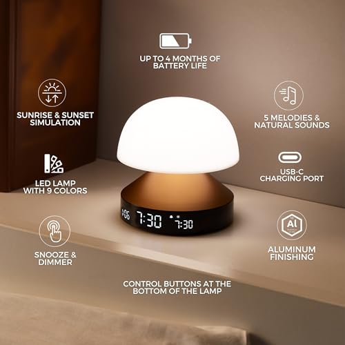 Sunrise Alarm Clock with Wake Up Light and Sunset Lamp D4313