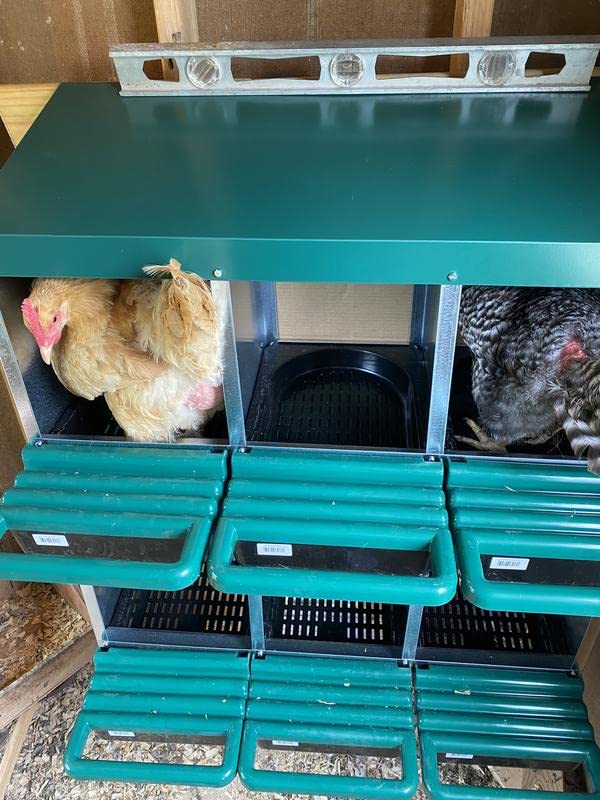 3 Compartment Roll Out Nesting Box for Chickens with Lid and Perch V75738