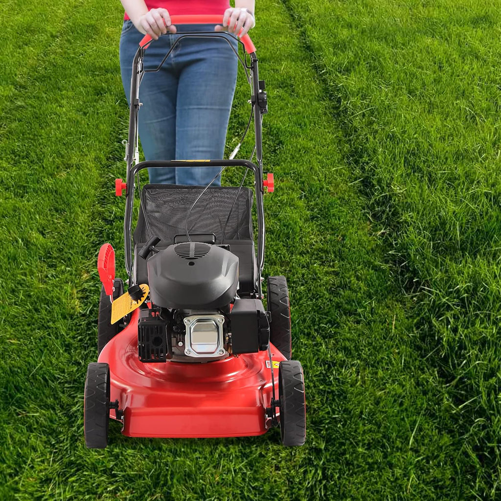 Self-Propelled Gas Lawn Mower, 8 Adjustable Heights H5415