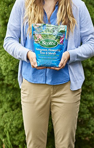 Flowering Tree & Shrub Plant Food 3-Pound M717293