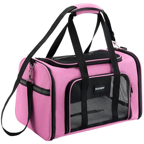 Large Cat Carrier Dog Carrier Pet Carrier Under 25 Lbs, Large Cats Small to Medium Dogs Portable Soft Sided Folding Travel Pet Carrier, Cat Carrier for 2 Cats Car Travel Carrier(Large, Grey)