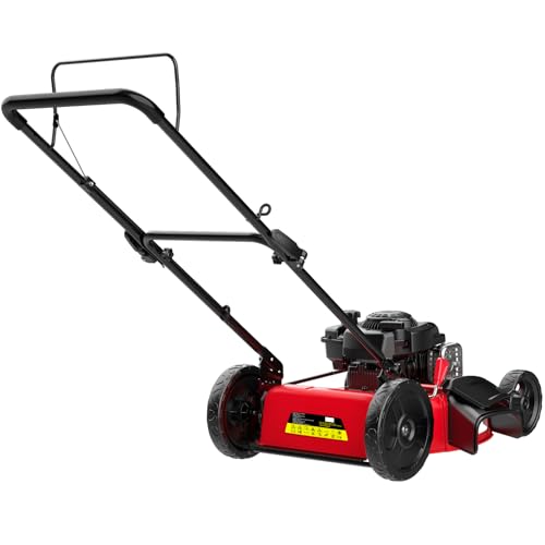 Gas Lawn Mower, 21-Inch 144cc 2-in-1 Walk-Behind Push Mower L600