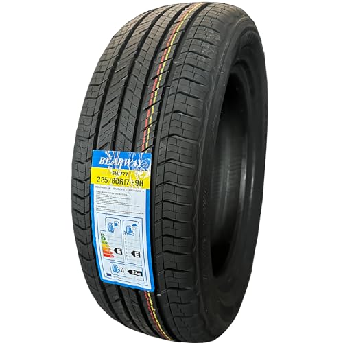 All Season Radial Tire 225/60R17 4PR+BW 99H (225/60R17)