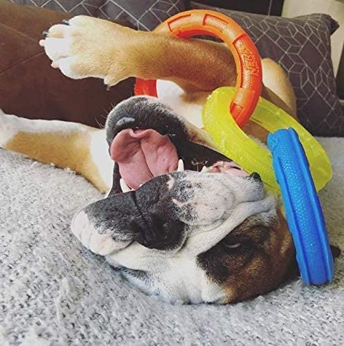 10.5in Rubber 3-Ring Tug Dog Toy, Lightweight, Durable, Water Resistant C841