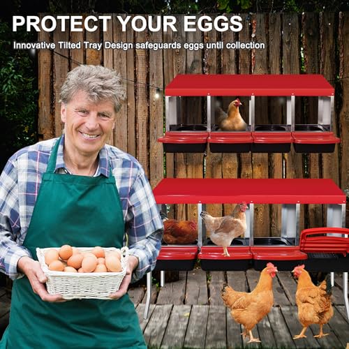 4 Compartment Chicken Nesting Box with Egg Collection Perch B595