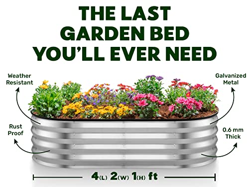 Galvanized Raised Garden Beds Outdoor 8x4x1 ft 2-Pack Planter for Vegetables Flowers H771