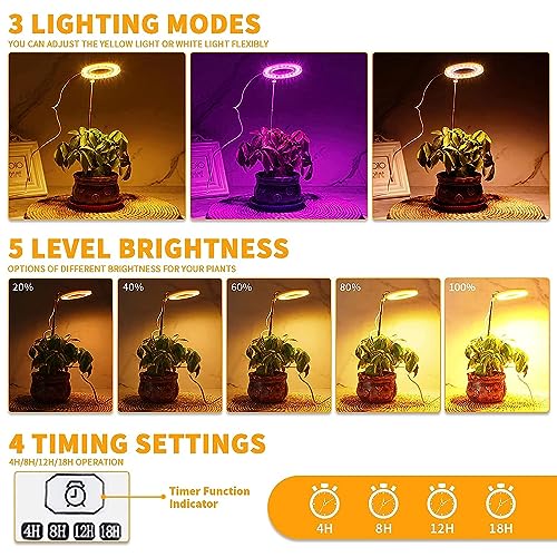Grow Light for Indoor Plants, Full Spectrum Halo Lamp with Timer D86389