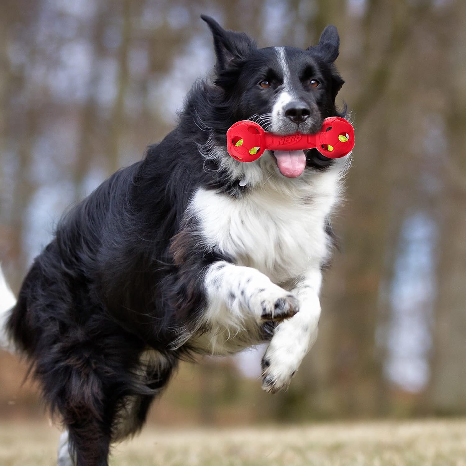 Rubber Barbell Dog Toy with LED, Lightweight, Durable, 7 Inches Y4674