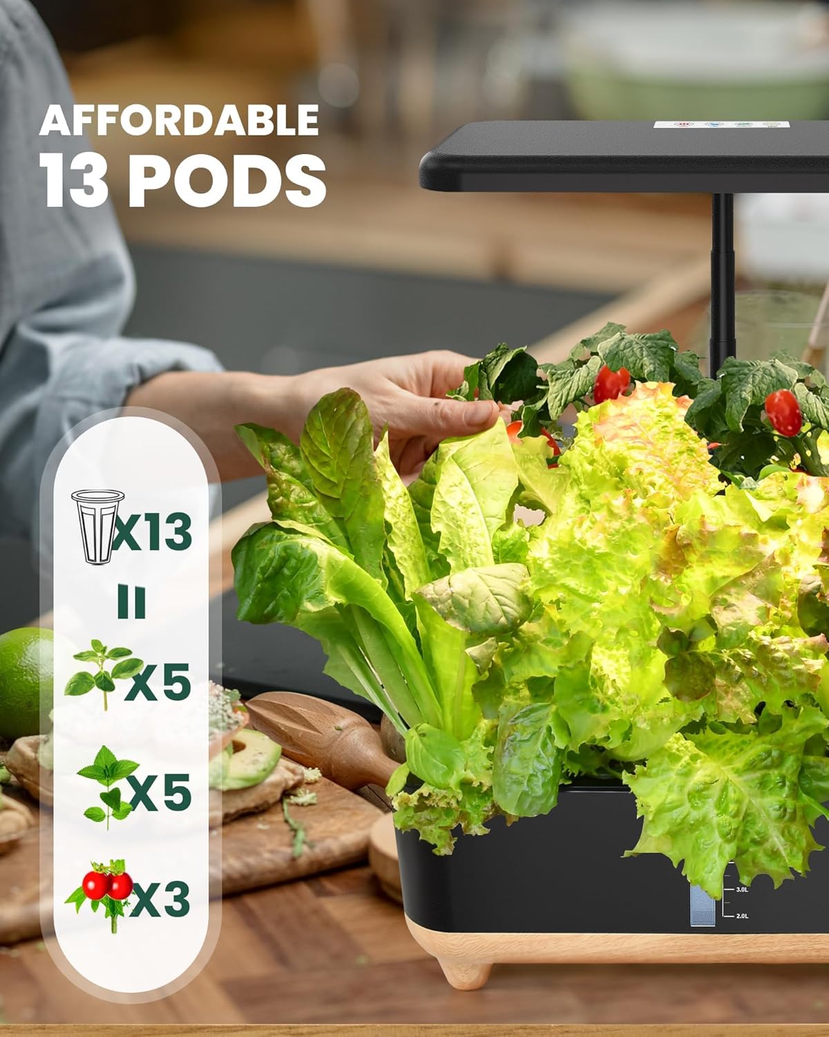 Indoor Hydroponics Growing System with 13 Pods B642