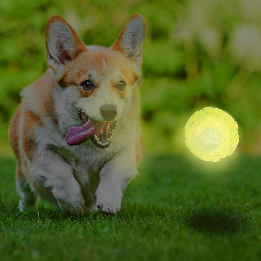 Glow Ball Dog Toy with Interactive LED, Lightweight, Durable K57697