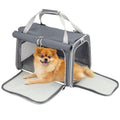 Texsens Cat-Carrier-Large-Pet-Carrier, Soft Cat Carrier for 2 Cats, Pet Carrier for Cat, Collapsible Cat Bag for Home Outdoor Travel, Airline Approved, Privacy Protection (Grey)
