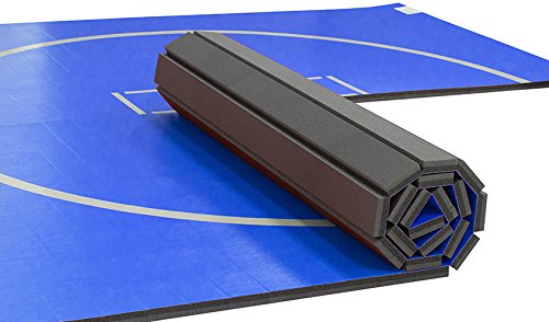 10x10 Wrestling Mat Z225