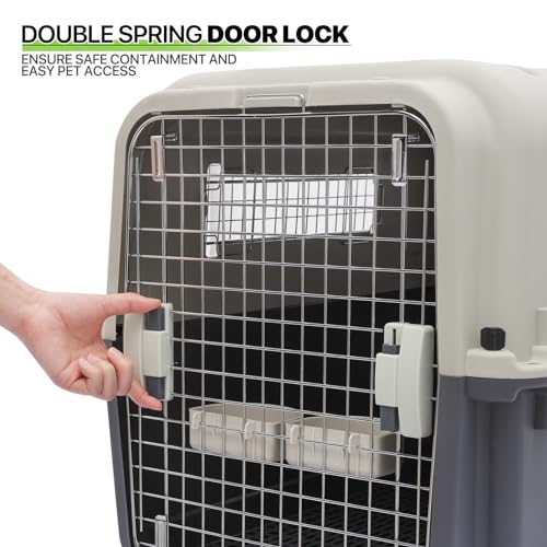 Plastic Pet Carrier, 22-Inch Hard-Sided Kennel for Small Dogs and Cats H410