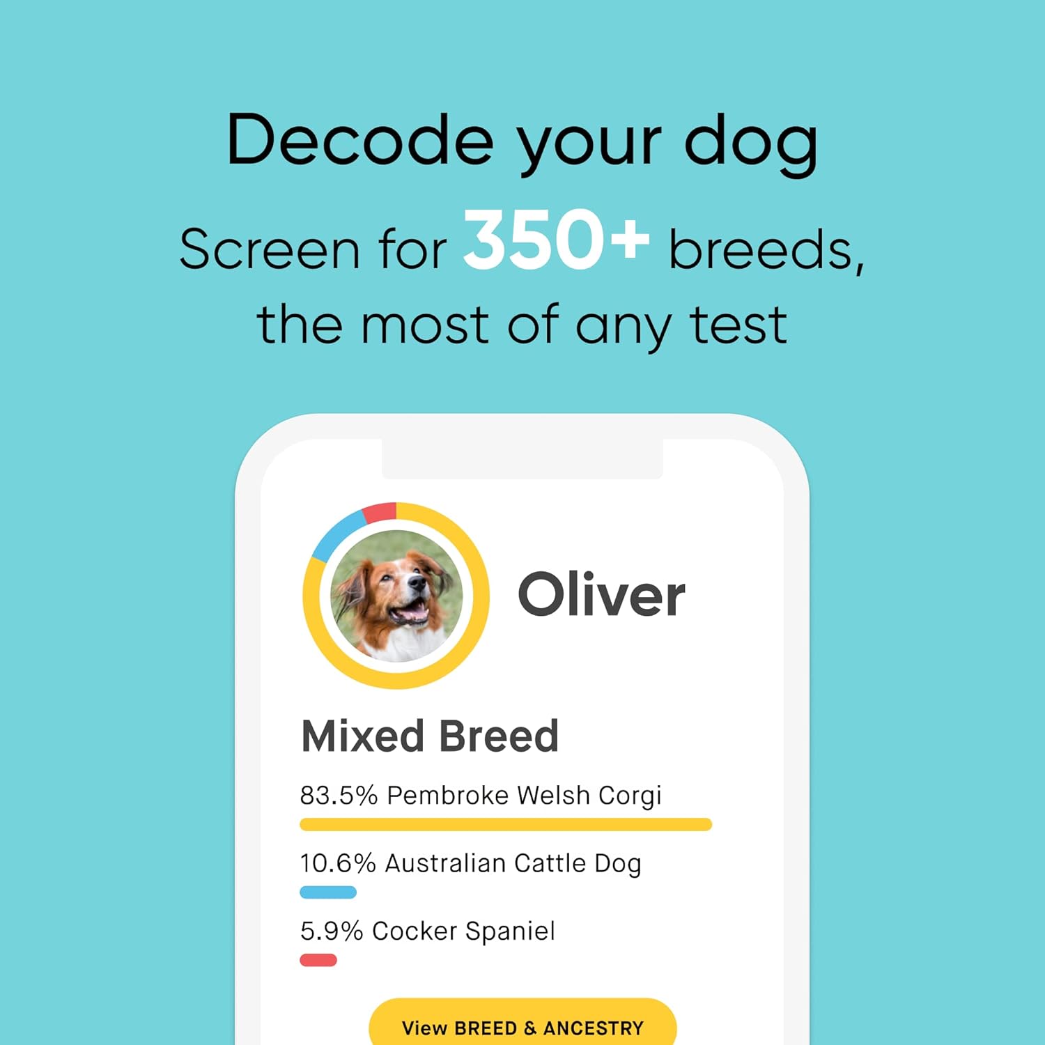 Dog DNA Test & Age Test Bundle N2336