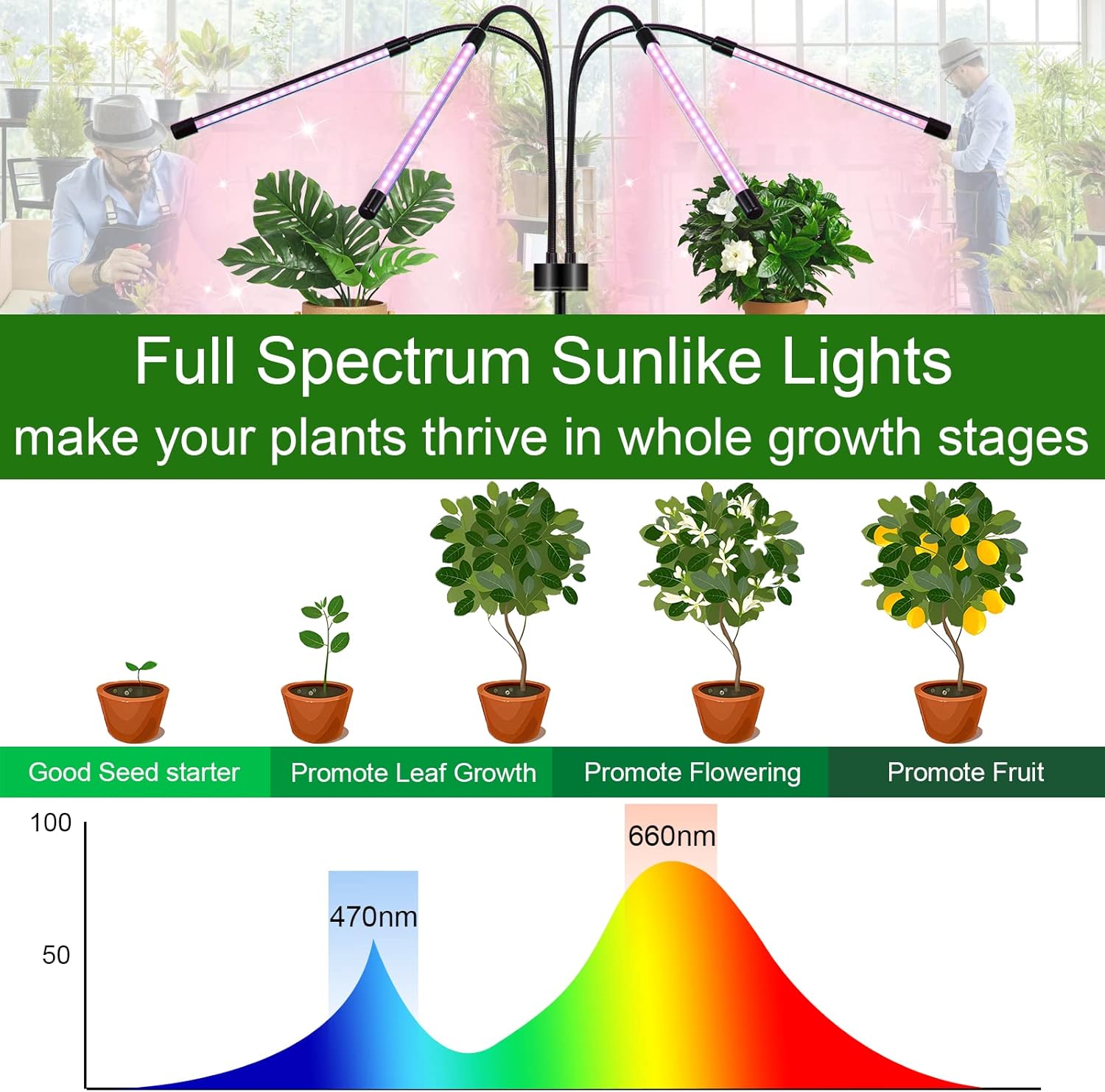 Grow Light for Indoor Plants, Full Spectrum, Adjustable Tripod, 4 Head L9073