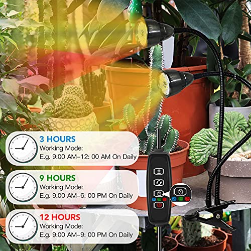 Grow Light for Indoor Plants, Gooseneck Clip-on Lamp with Timer C16392