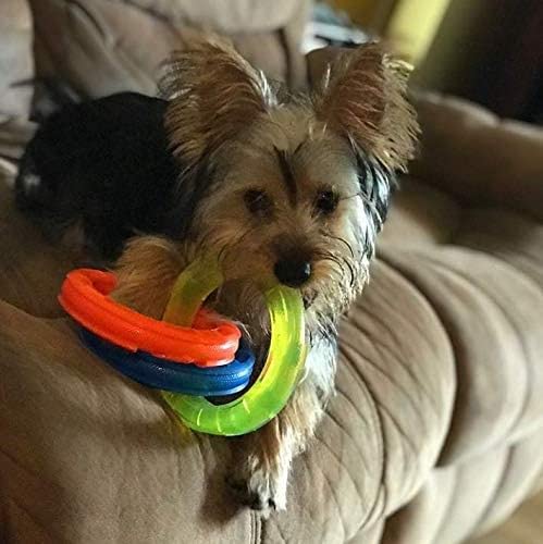 10.5in Rubber 3-Ring Tug Dog Toy, Lightweight, Durable, Water Resistant C841