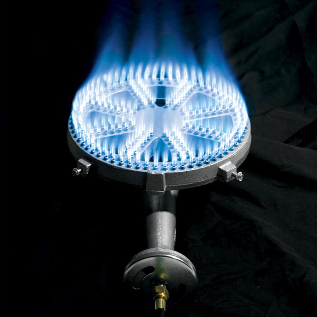 Stainless Steel Propane Burner for Outdoor Cooking D517959