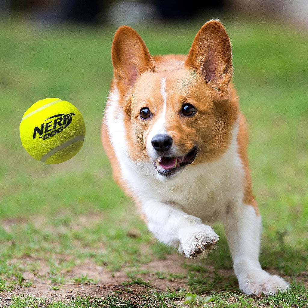 Dog Tennis Ball Blaster Toy X696389