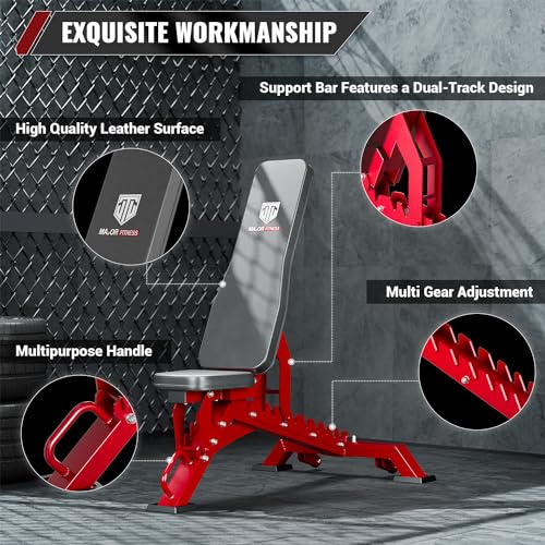 Adjustable Weight Bench for Home Gym Strength Training F2949