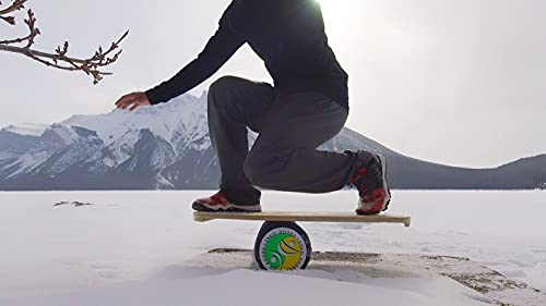 Balance Board Training Package with Cushion and Exercise Poster Y658