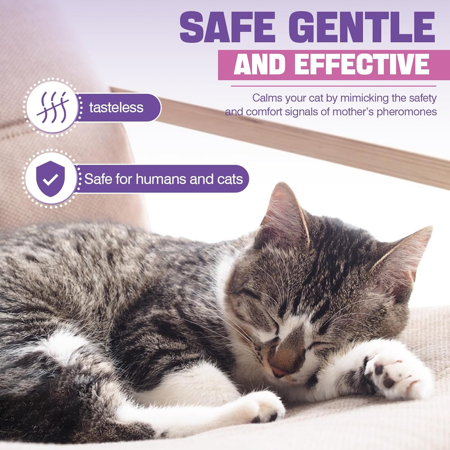 Cat Pheromone Calming Diffuser Refill 6 Pack H554002