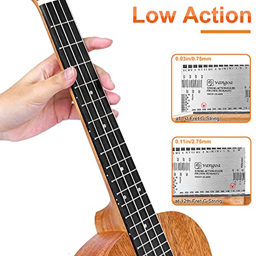 Concert Ukulele 23 Inch with Complete Kit for Beginners Y28318